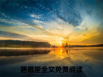 陆爷，夫人她带崽掀翻帝都了全文免费阅读无弹窗大结局_（唐慕笙阅读无弹窗）唐慕笙最新章节列表