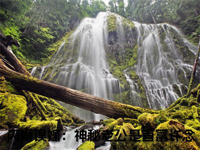 闪婚误嫁：神秘老公是首富许念(闪婚误嫁：神秘老公是首富许念)全文免费阅读无弹窗大结局_闪婚误嫁：神秘老公是首富许念免费阅读全文无弹窗_笔趣阁