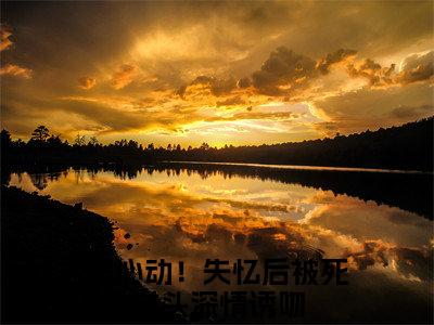 江贺虞莺莺（超心动！失忆后被死对头深情诱吻）全文免费阅读无弹窗大结局_江贺虞莺莺最新章节列表_笔趣阁