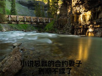 总裁的合约妻子，到期不续了全文免费阅读无弹窗大结局_（凌霄成雯小说）总裁的合约妻子，到期不续了最新章节列表笔趣阁（凌霄成雯）