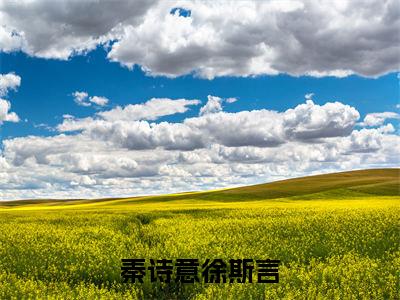 秦诗意徐斯言全文+后续（秦诗意徐斯言）全文免费阅读无弹窗大结局_（秦诗意徐斯言全文+后续）秦诗意徐斯言免费阅读无弹窗最新章节列表（秦诗意徐斯言全文+后续）