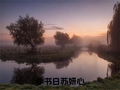 褪色的爱小说主角叫什么季书白苏妍心全文免费阅读大结局