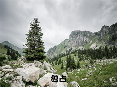 独占全文免费阅读无弹窗大结局-倪薇陈宕在线阅读