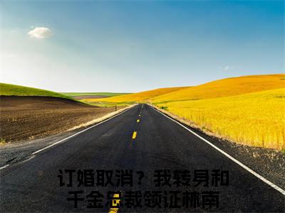 订婚取消？我转身和千金总裁领证（林南）全文免费阅读无弹窗大结局_（林南）订婚取消？我转身和千金总裁领证最新章节列表