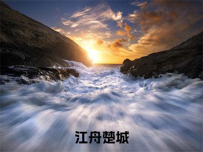 暗夜追光（江舟楚城）全文免费阅读无弹窗大结局_暗夜追光在线阅读笔趣阁