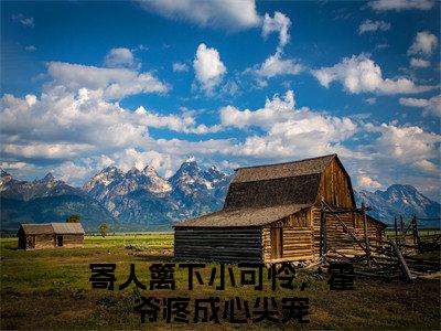 南乔霍北城的小说全文免费阅读无弹窗，寄人篱下小可怜，霍爷疼成心尖宠的小说在线免费阅读大结局（寄人篱下小可怜，霍爷疼成心尖宠）