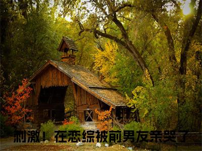 沈甯顾珩全文免费在线阅读_（刺激！在恋综被前男友亲哭了全文免费阅读无弹窗大结局）