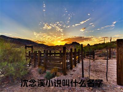 （热推新书）《重生与嫡妹换亲，我成了风光皇后》全文免费阅读无弹窗大结局_沈念溪无弹窗全文阅读
