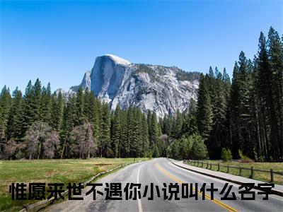 惟愿来世不遇你在线阅读（沈清璇叶赫安小说）全文免费阅读无弹窗大结局_沈清璇叶赫安免费最新章节列表