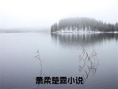 他死在光芒万丈小说（萧柔楚霖）全文免费阅读无弹窗大结局_萧柔楚霖小说最新章节列表
