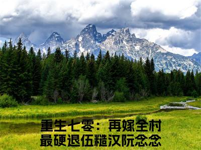 重生七零：再嫁全村最硬退伍糙汉阮念念(重生七零：再嫁全村最硬退伍糙汉阮念念)全文免费最新章节阅读_(重生七零：再嫁全村最硬退伍糙汉阮念念)全章节免费在线阅读_笔趣阁（重生七零：再嫁全村最硬退伍糙汉阮念念）