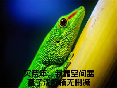 灾荒年，我靠空间暴富了沈舒楠小说(灾荒年，我靠空间暴富了沈舒楠)全文免费阅读_灾荒年，我靠空间暴富了沈舒楠（灾荒年，我靠空间暴富了沈舒楠）最新章节完整版免费阅读（灾荒年，我靠空间暴富了沈舒楠）