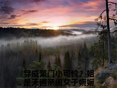 穿成豪门小可怜？姐是天道亲闺女于婉婉（穿成豪门小可怜？姐是天道亲闺女于婉婉）小说全文免费阅读无弹窗-穿成豪门小可怜？姐是天道亲闺女于婉婉小说全文免费阅读大结局笔趣阁