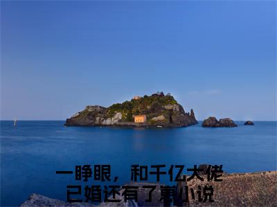 一睁眼，和千亿大佬已婚还有了崽（苏瑾沫陆景铭）全文免费阅读无弹窗大结局_苏瑾沫陆景铭（一睁眼，和千亿大佬已婚还有了崽无弹窗）_笔趣阁