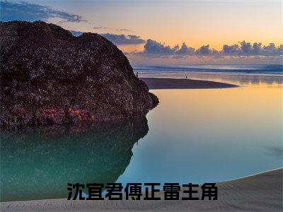 沈宜君傅正雷大结局免费阅读十年陈事只如风最新热点小说