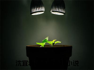 沈宜君傅正雷小说（沈宜君傅正雷）全文免费阅读无弹窗大结局_沈宜君傅正雷最新章节在线阅读
