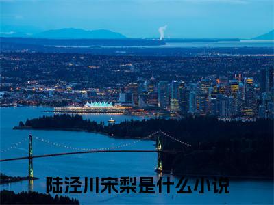 陆泾川宋梨（陆泾川宋梨）小说全文免费阅读_（陆泾川宋梨）小说全文无删减版在线阅读