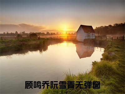 我在等你钟意我抖音新书热荐-顾鸣乔阮雪青全文在线赏析（我在等你钟意我）