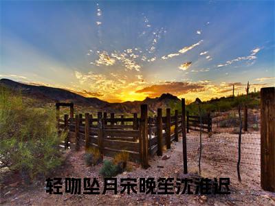 宋晚笙沈淮迟全文免费阅读大结局_宋晚笙沈淮迟全文免费阅读无弹窗_笔趣阁（轻吻坠月）