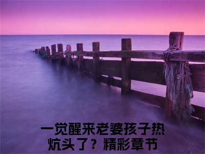 夏哭夜陆鸣小说全文免费阅读（一觉醒来老婆孩子热炕头了？）全文免费阅读无弹窗大结局_夏哭夜陆鸣最新章节列表