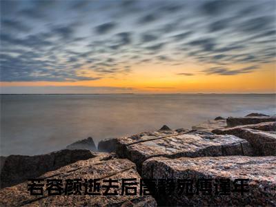 若容颜逝去后小说(唐静宛傅谨年)外篇+结局（若容颜逝去后）全篇在线阅读