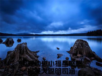 司涵小说(司涵)终章+番外（团宠幼崽小福星憨憨搞笑大聪明）一口气阅读