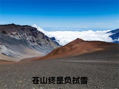 （应拭雪扶砚）苍山终是负拭雪应拭雪扶砚后续一口气无广告全书章节表