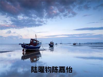 （原来沧海已桑田）陆曜钧陈嘉怡小说最终篇章章节在线无广告高口碑小说