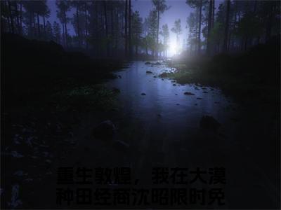 重生敦煌，我在大漠种田经商沈昭电子书+番外篇章+（重生敦煌，我在大漠种田经商沈昭）免费版在线阅读