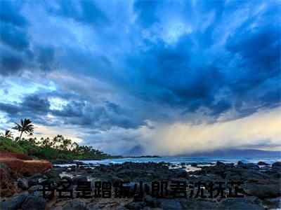 蹭饭小郎君沈抚芷(蹭饭小郎君沈抚芷：结局+番外)全文免费阅读无弹窗大结局_(蹭饭小郎君沈抚芷)最新章节列表_笔趣阁(蹭饭小郎君沈抚芷：结局+番外)