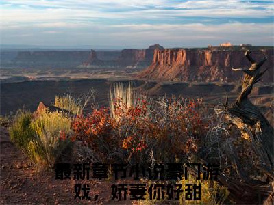 战御北夏薇星（豪门游戏，娇妻你好甜：结局+番外）完结版全文免费阅读_战御北夏薇星大结局全章节阅读（豪门游戏，娇妻你好甜：结局+番外）