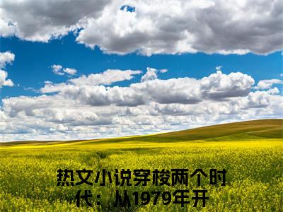 穿梭两个时代：从1979年开始王朗彩蛋小说结尾+附加（穿梭两个时代：从1979年开始王朗）清爽版阅读