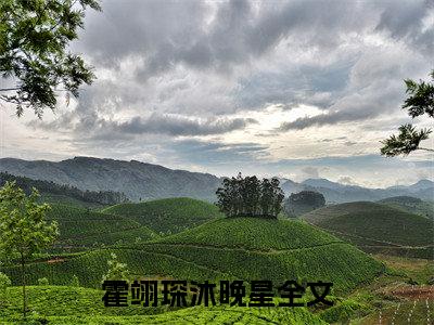 全网首发霍翊琛沐晚星彩蛋(霍翊琛沐晚星)（霍翊琛沐晚星）全本完整阅读无弹窗