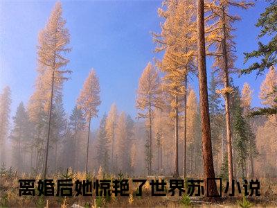 离婚后她惊艳了世界苏婳小说（离婚后她惊艳了世界苏婳）全文免费阅读无弹窗大结局_离婚后她惊艳了世界苏婳最新章节列表_笔趣阁