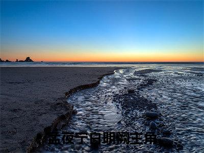 孟夜宁白明阙小说(孟夜宁白明阙)小说结尾+隐藏篇章（孟夜宁白明阙）畅享阅读