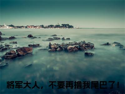 雁南飞沈星渡（将军大人，不要再撸我尾巴了！小说）全文免费阅读无弹窗大结局_将军大人，不要再撸我尾巴了！完整版小说阅读