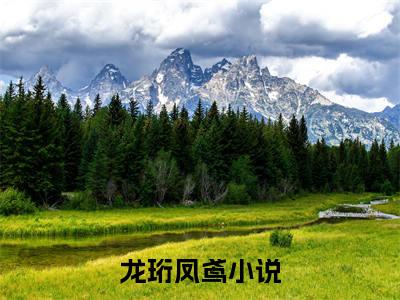 (番外)+(全文)龙珩凤鸢：番外+全文+后续（龙珩凤鸢）完整版小说阅读_龙珩凤鸢：番外+全文+后续免费阅读_笔趣阁（龙珩凤鸢）