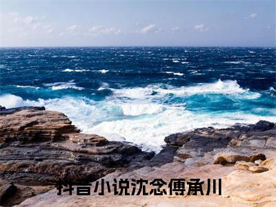 黎明前停止心动：结局+番外（沈念傅承川）免费热荐最新全章节阅读_沈念傅承川：结局+番外小说大结局免费阅读（黎明前停止心动）