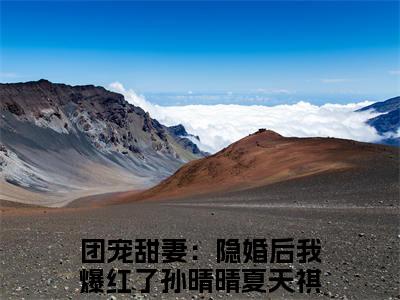 终章小说孙晴晴夏天祺团宠甜妻：隐婚后我爆红了小说(孙晴晴夏天祺)已更新+番外篇章（团宠甜妻：隐婚后我爆红了）无广告