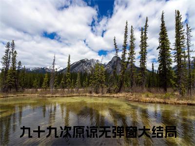 林嫣然张辰逸（九十九次原谅）全文免费阅读无弹窗无删减_小说（林嫣然张辰逸）九十九次原谅最新章节列表笔趣阁