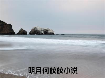 洛星河秦稚月小说完本+外篇（明月何皎皎）畅享阅读