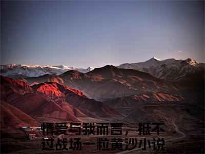 情爱与我而言，抵不过战场一粒黄沙楚沫熙贺易阳小说(情爱与我而言，抵不过战场一粒黄沙)（楚沫熙贺易阳）在线畅读+开篇大作+前传