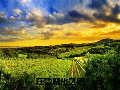 燕雪舟梁冰特别篇章节目录+章节前文（在雪融化之前）TXT清爽版在线