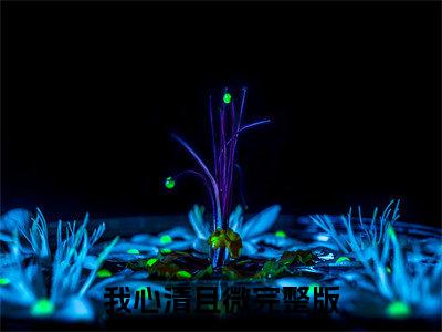 我心清且微（阮亦微沈琛）结局+番外免费品鉴_我心清且微（我心清且微）免费在线阅读+后续评价五颗星
