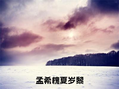 偷藏盛夏的星光章节目录+序章（孟希槐夏岁黎）全书畅享在线