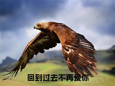 孟谨臣温叙栀（回到过去不再爱你）全文免费阅读无弹窗大结局_（回到过去不再爱你免费阅读全文大结局）最新章节列表