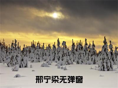 邢宁染（只是当时已惘然小说）全文免费阅读无弹窗大结局_邢宁染最新章节列表_笔趣阁（只是当时已惘然小说）