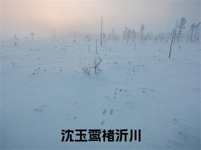 沈玉鸾褚沂川（褚沂川沈玉鸾）全文免费阅读无弹窗大结局_褚沂川沈玉鸾小说免费最新章节列表_笔趣阁