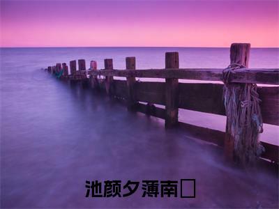 《池颜夕薄南璟》主角是薄南璟池颜夕全文免费阅读已完结