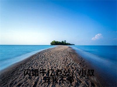 闪婚千亿老公，小叔宠我不停（傅时霆楚婳）全文免费阅读无弹窗大结局_傅时霆楚婳（闪婚千亿老公，小叔宠我不停最新章节在线阅读）_笔趣阁